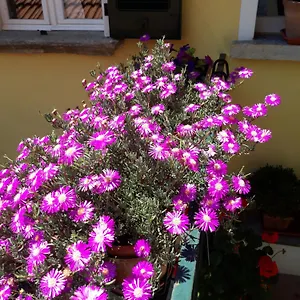 https://casa-azzurra-menaggio.it-lombardy.com